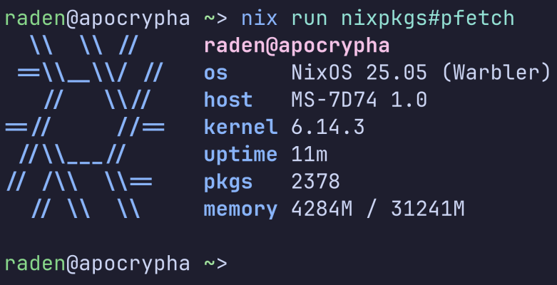 NixOS installation experience